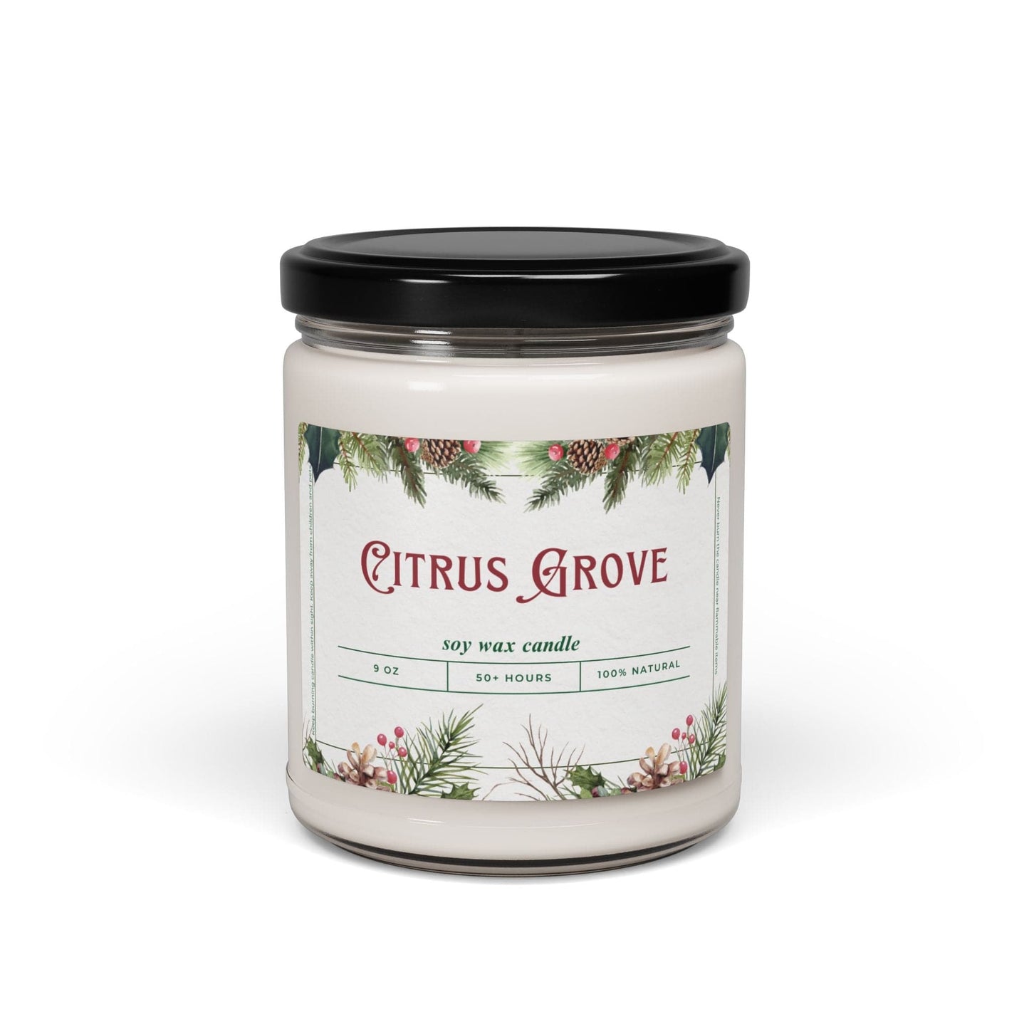 Take the 2nd Exit Florida Villages of Citrus Grove Christmas Candle 9oz. Soy wax