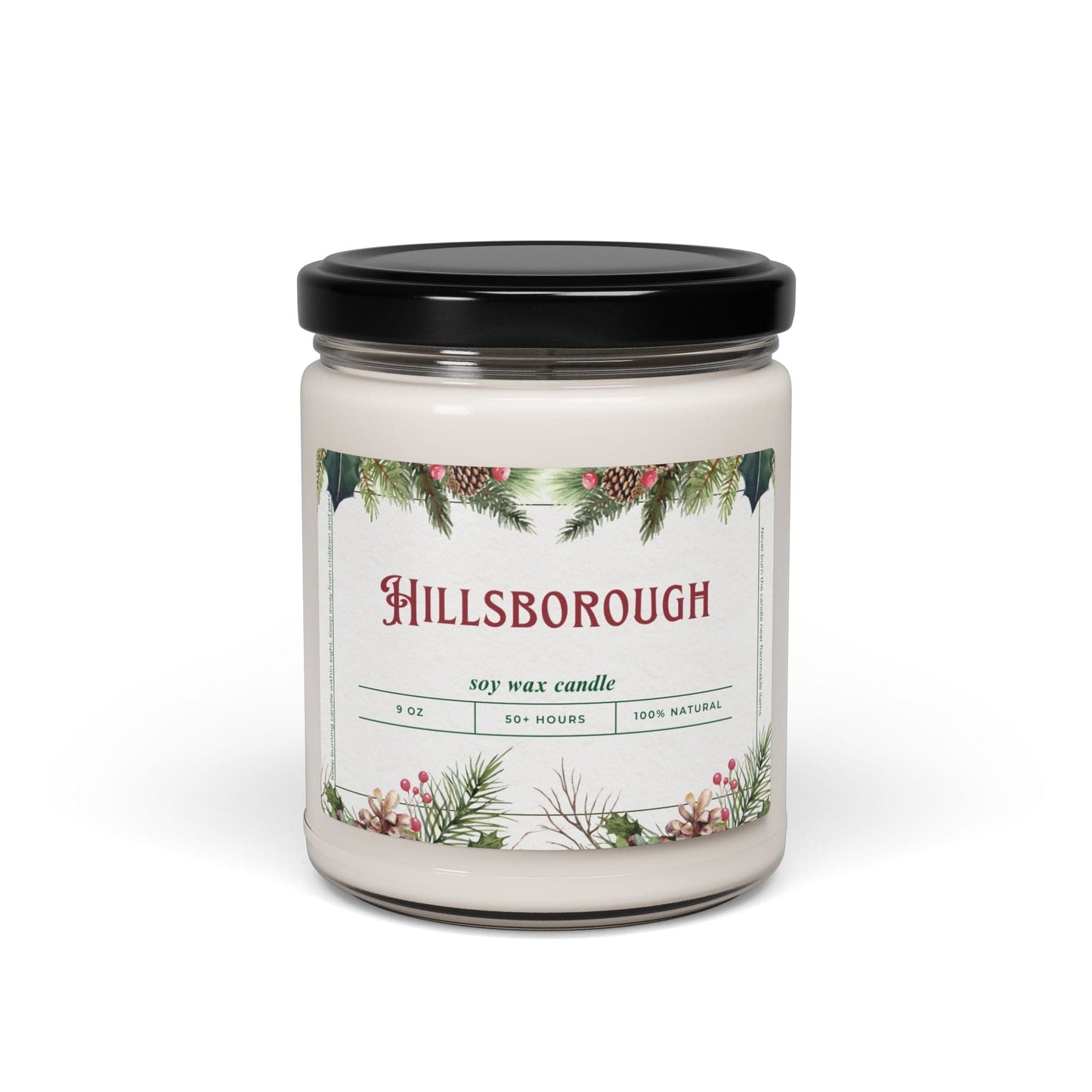 Take the 2nd Exit Florida Villages of Hillsborough Christmas Candle 9oz. Soy wax