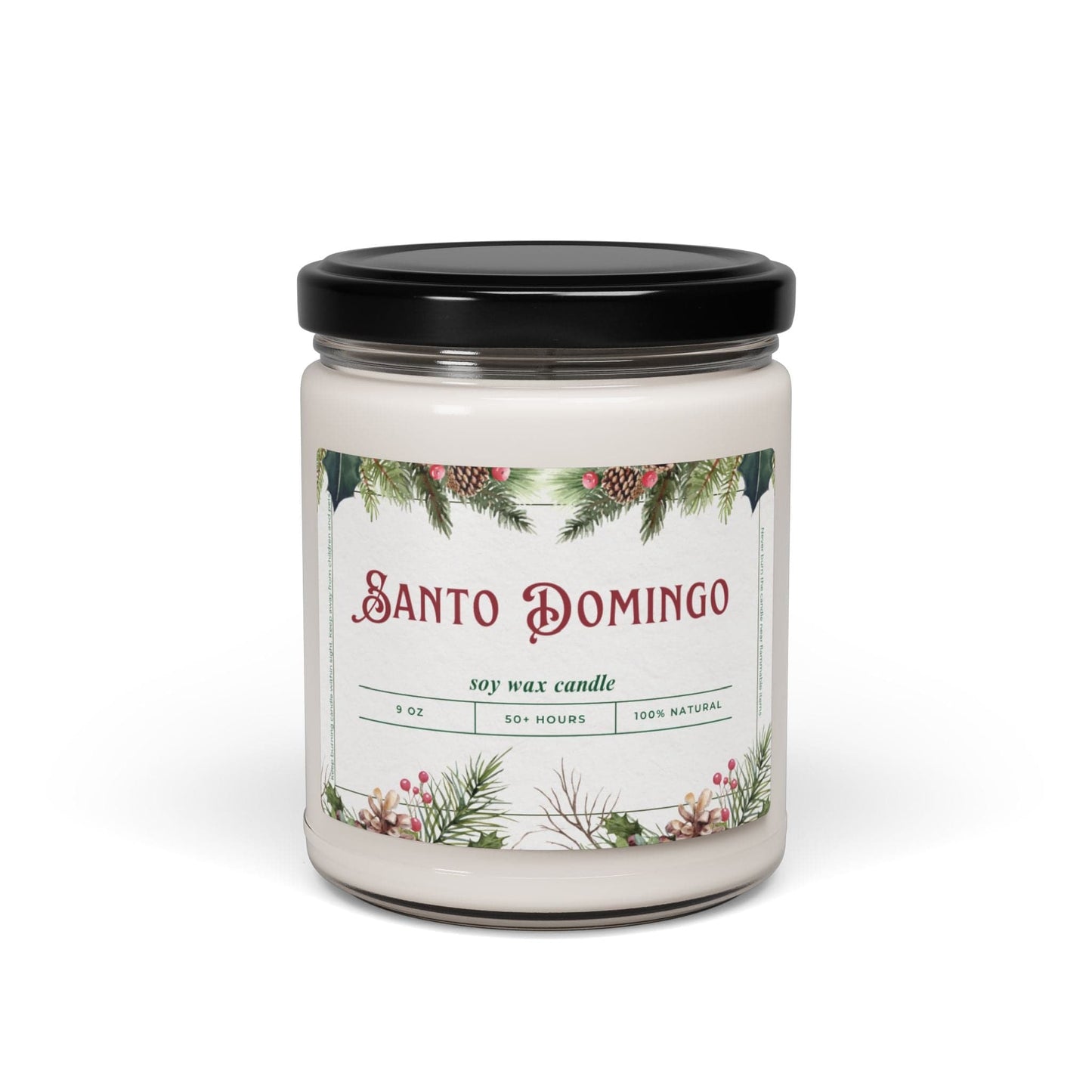 Take the 2nd Exit Florida Villages of Santo Domingo Christmas Candle 9oz. Soy wax