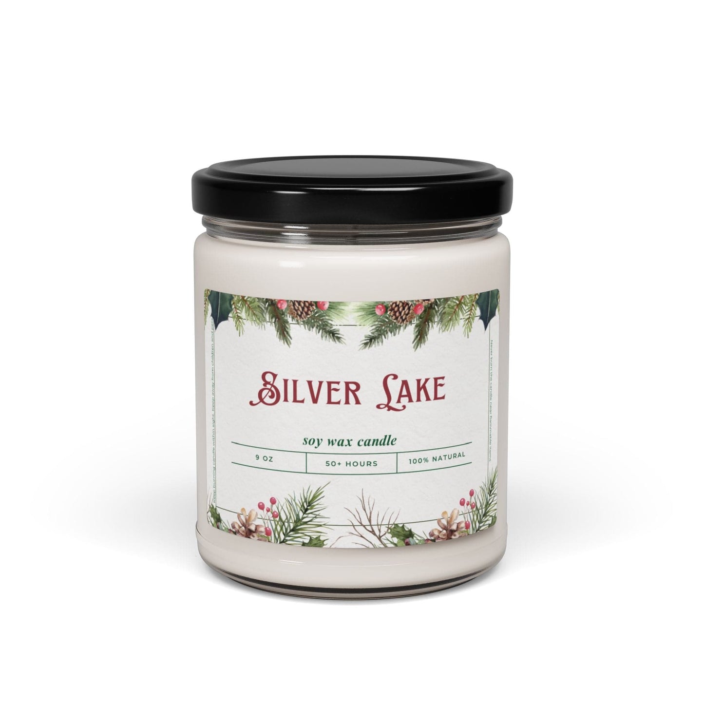 Take the 2nd Exit Florida Villages of Silver Lake Christmas Candle 9oz. Soy wax