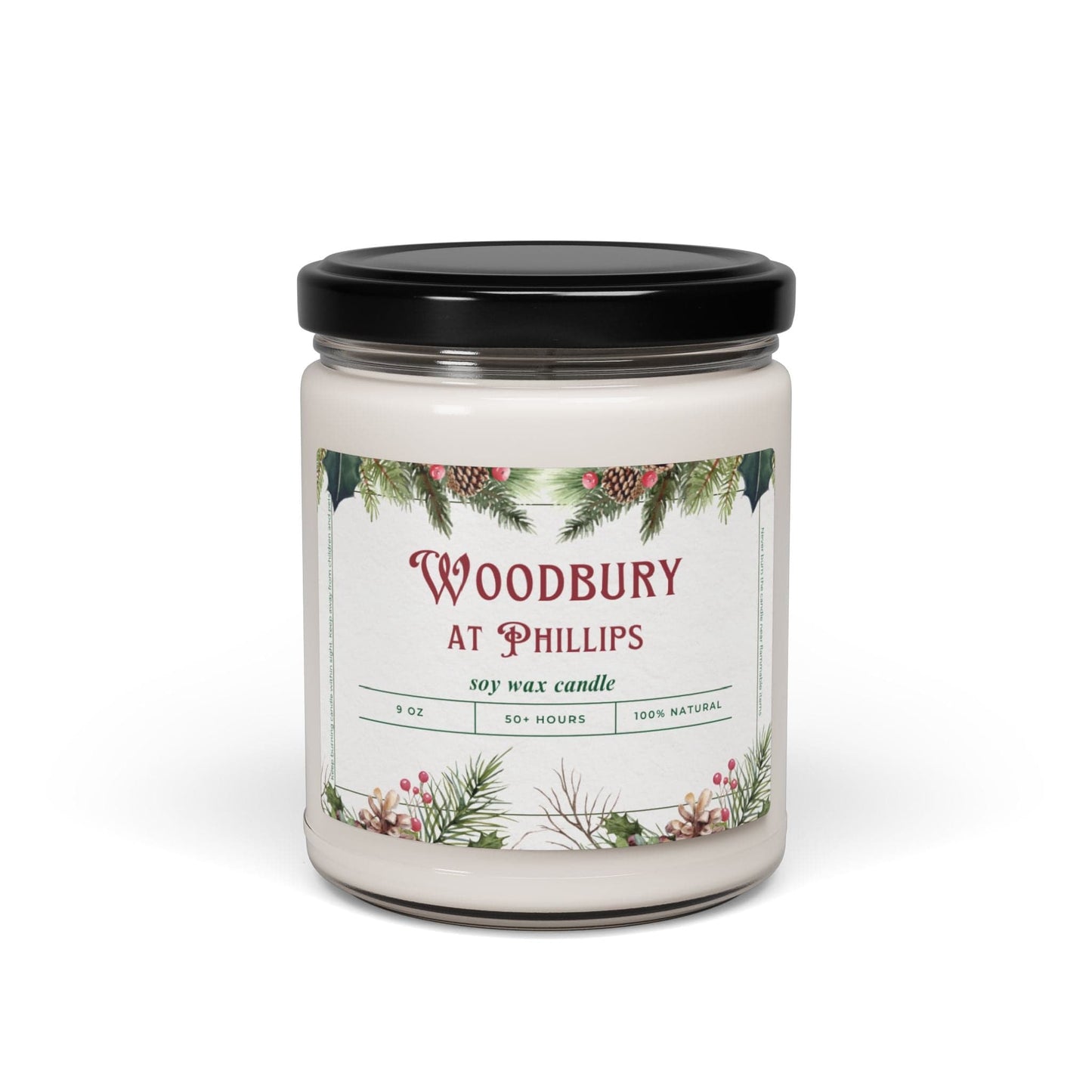 Take the 2nd Exit Florida Villages of Woodbury at Phillips Christmas Candle 9oz. Soy wax