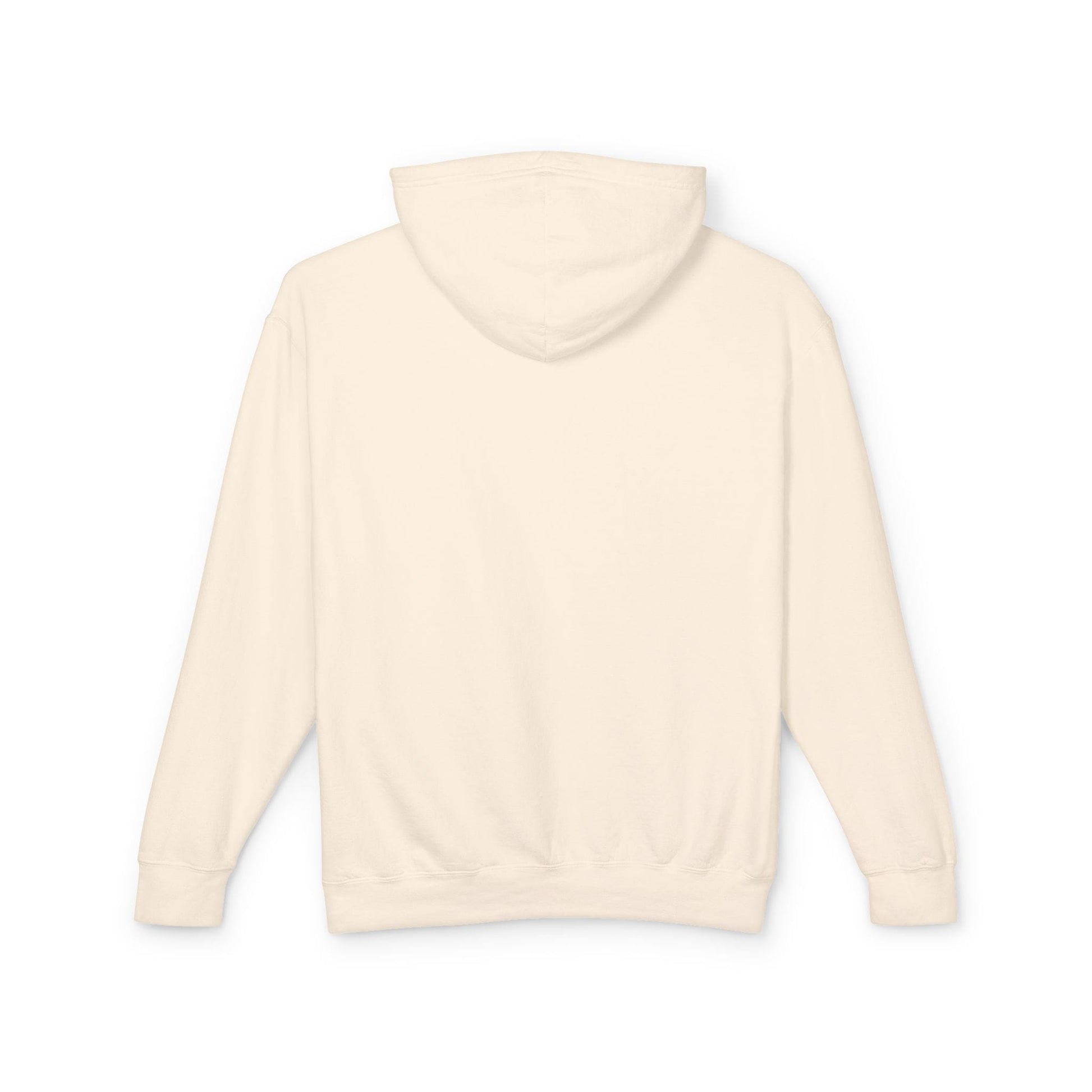 Printify Florida Villages of  Alaska Cruise 2016 Hoodie — "50 Somethings" Feral generation Souvenir Pullover