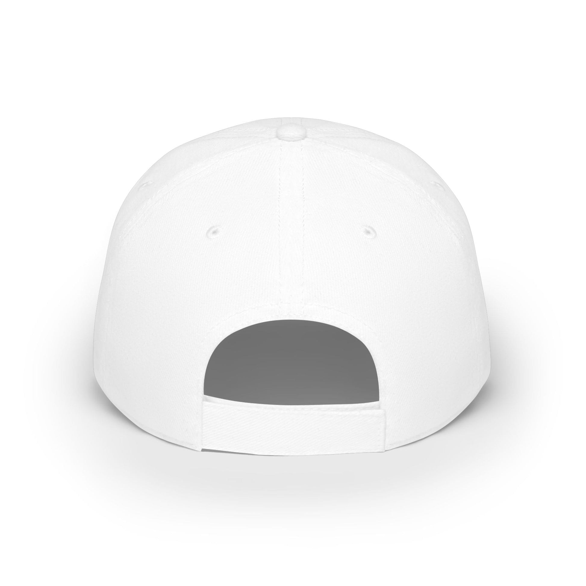 Printify Florida Villages of  Alaska Cruise 2025 "50 Somethings Feral Generation" Low Profile Baseball Cap