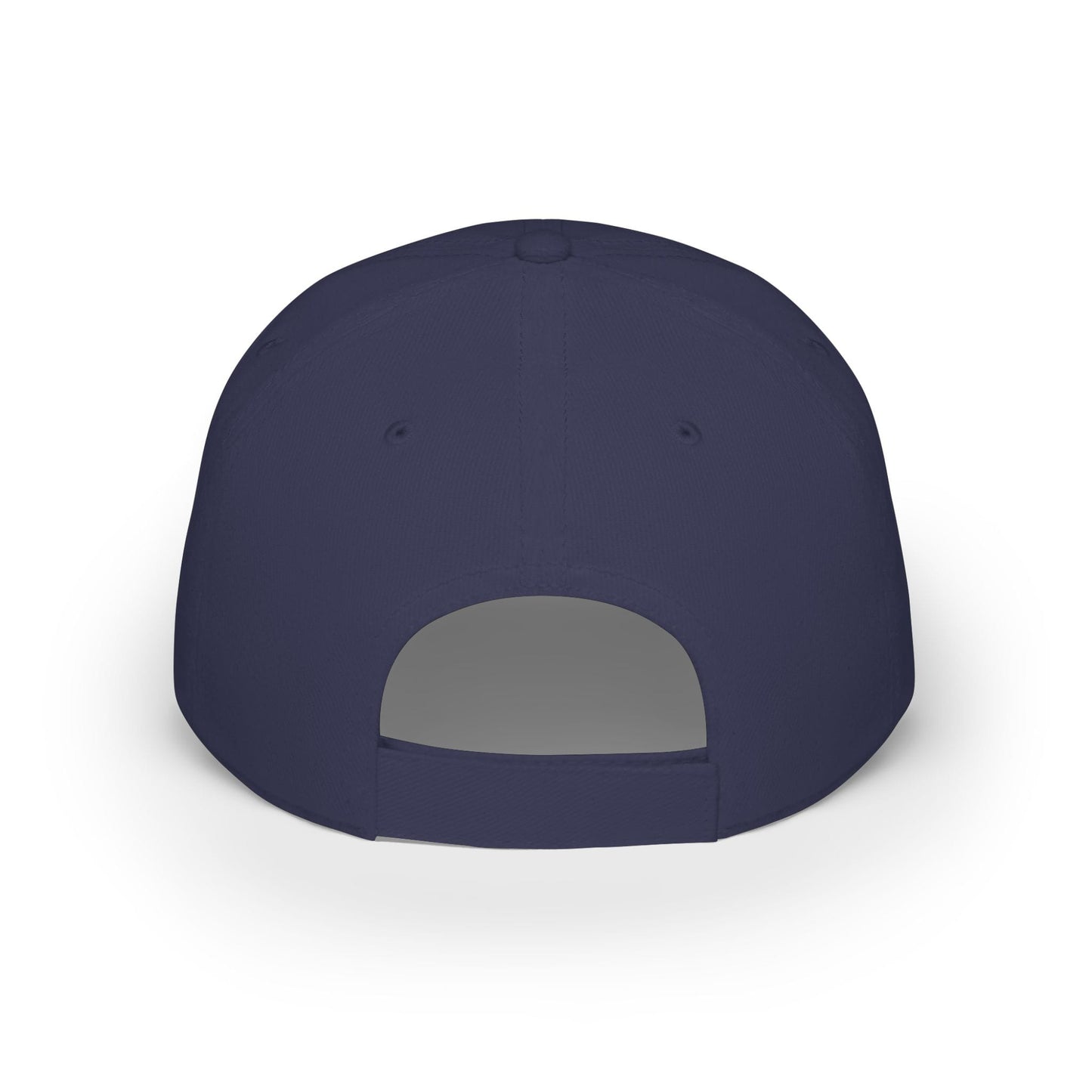 Printify Florida Villages of  Alaska Cruise 2025 "50 Somethings Feral Generation" Low Profile Baseball Cap