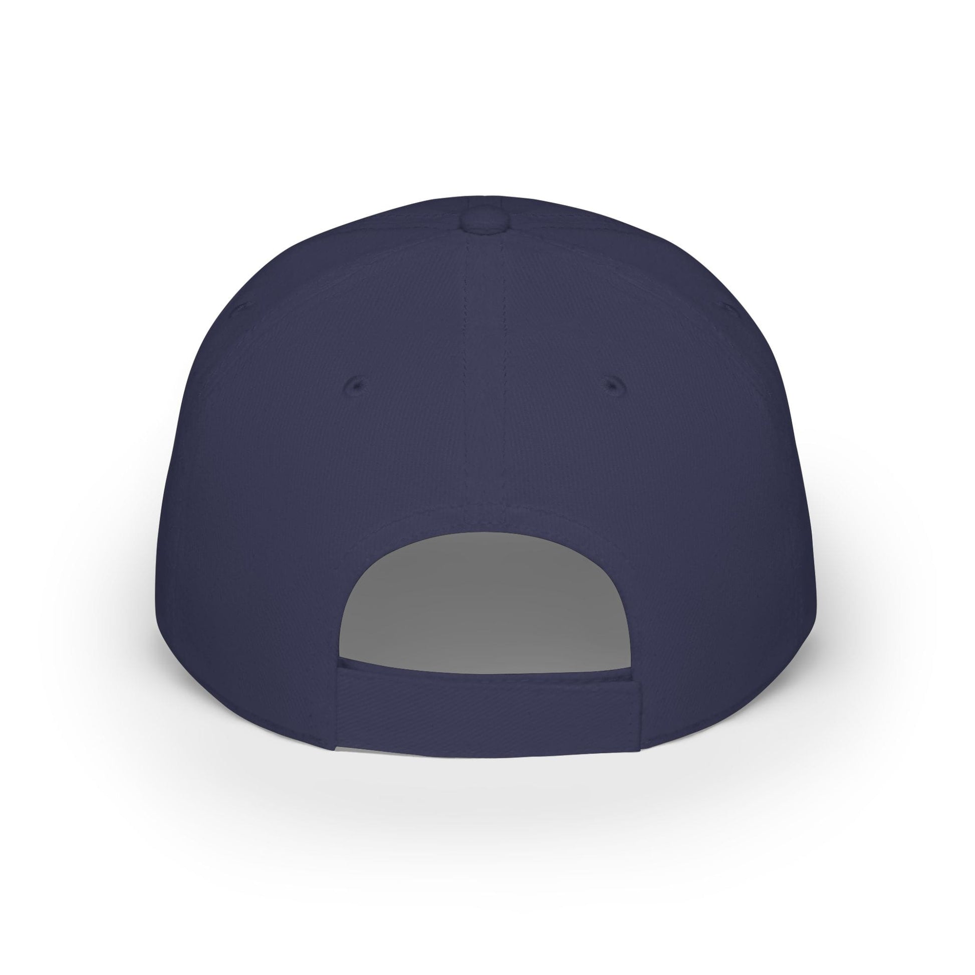 Printify Florida Villages of  Alaska Cruise 2025 "50 Somethings Feral Generation" Low Profile Baseball Cap