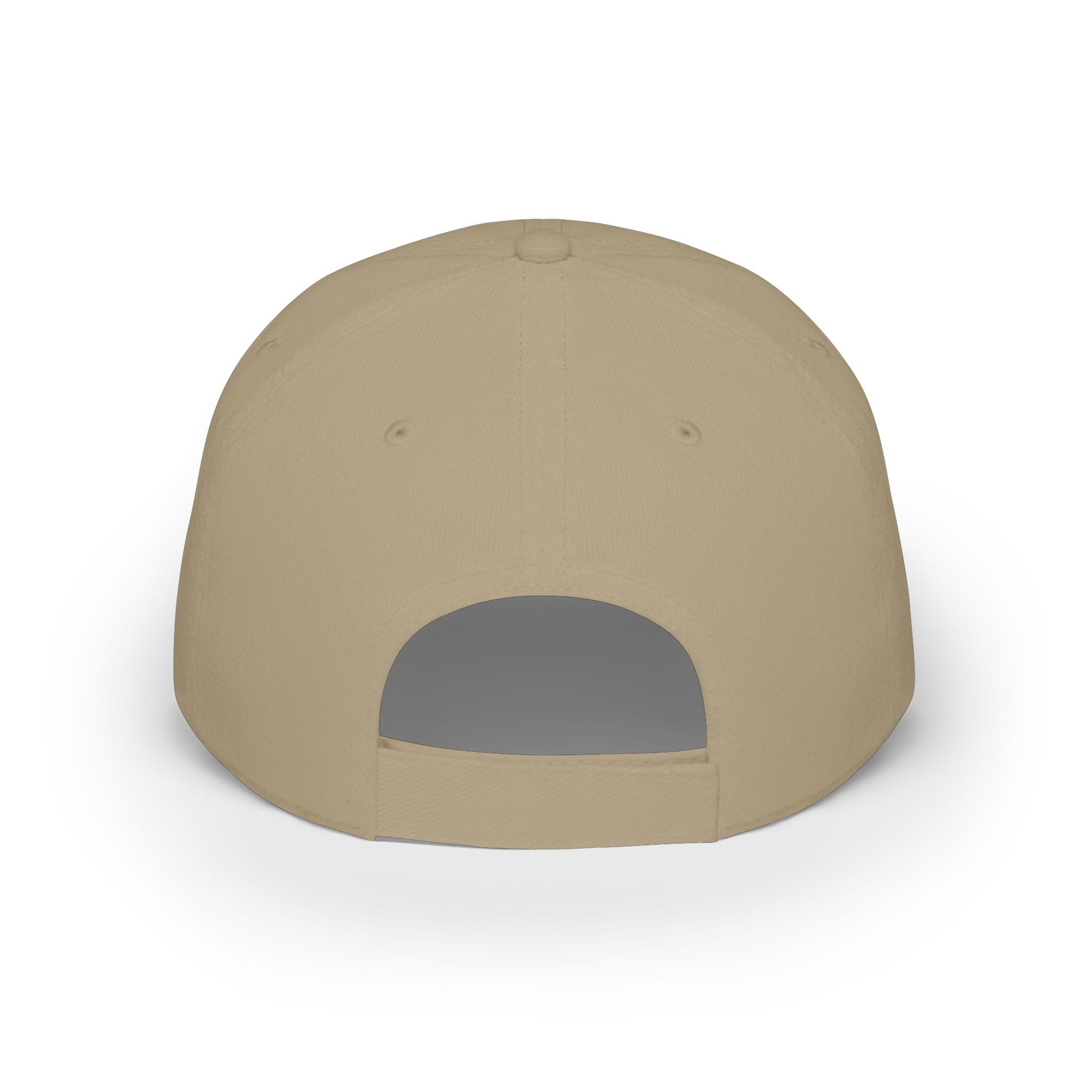 Printify Florida Villages of  Alaska Cruise 2025 "50 Somethings Feral Generation" Low Profile Baseball Cap