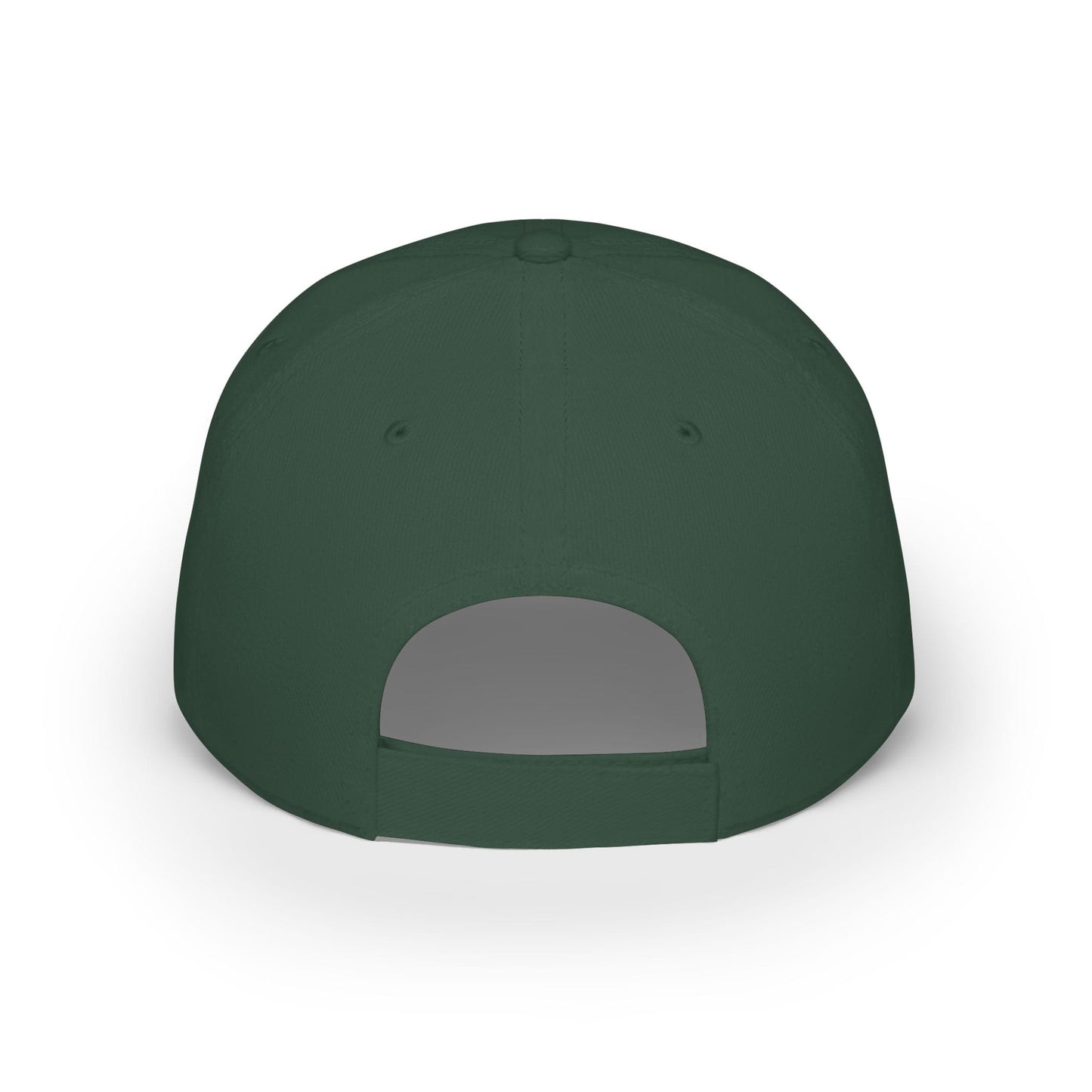 Printify Florida Villages of  Alaska Cruise 2025 "50 Somethings Unsupervised" Low Profile Baseball Cap