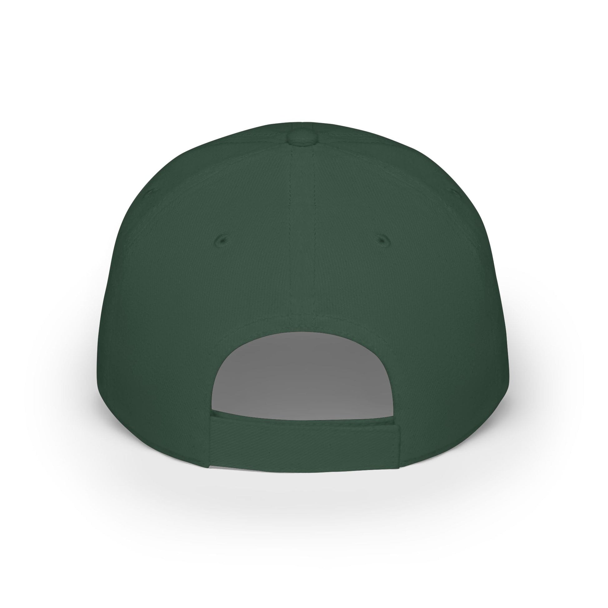 Printify Florida Villages of  Alaska Cruise 2025 "50 Somethings Unsupervised" Low Profile Baseball Cap