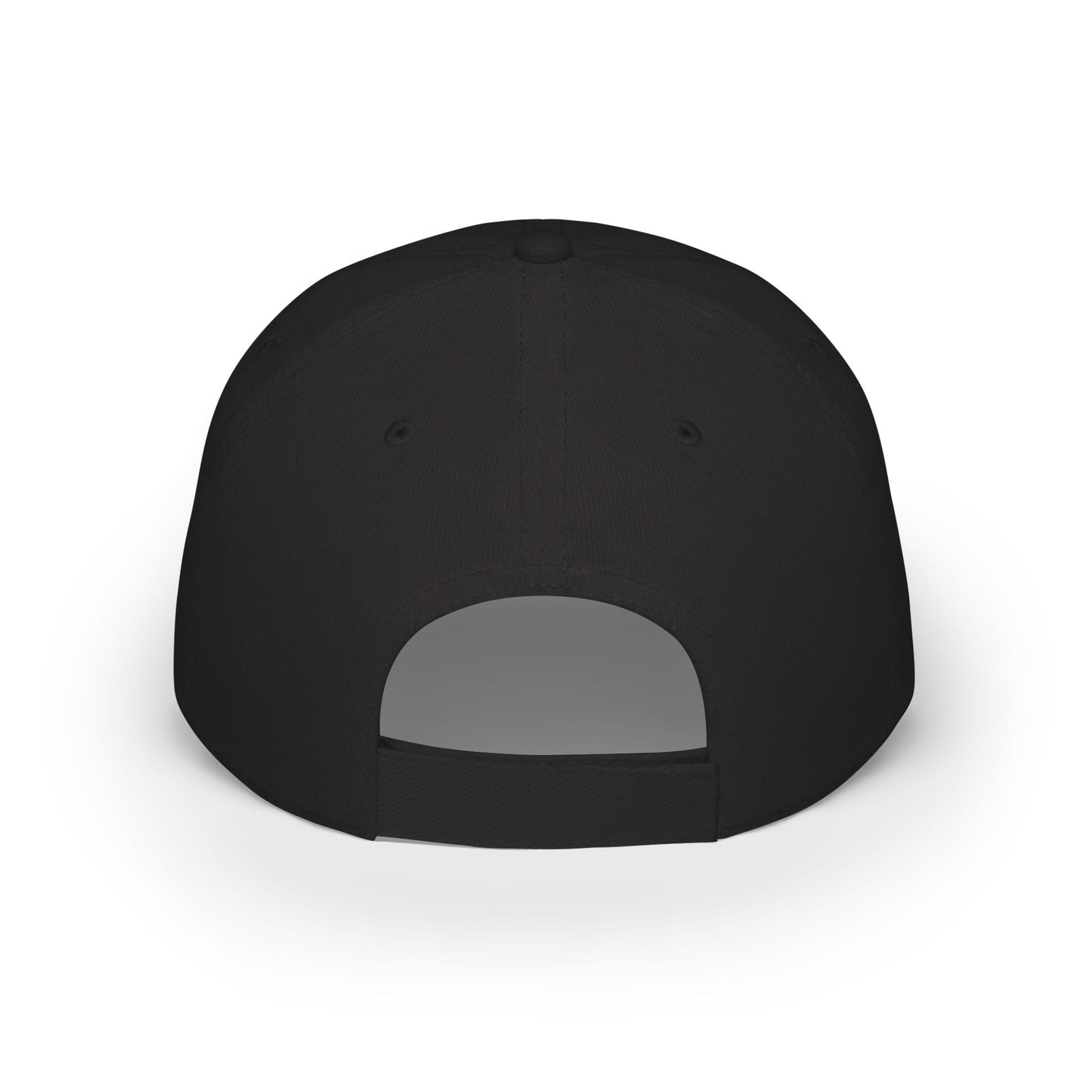 Printify Florida Villages of  Alaska Cruise 2025 "50 Somethings Unsupervised" Low Profile Baseball Cap