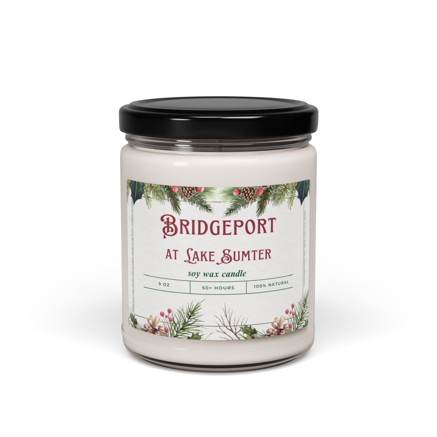 Take the 2nd Exit Florida Villages of  Bridgeport at Lake Sumter Christmas Candle 9oz. Soy wax