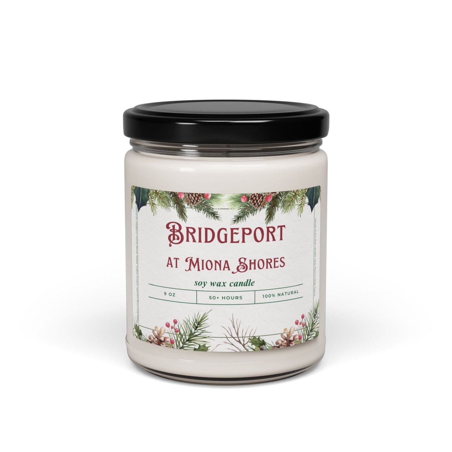 Take the 2nd Exit Florida Villages of  Bridgeport at Miona Shores Christmas Candle 9oz. Soy wax