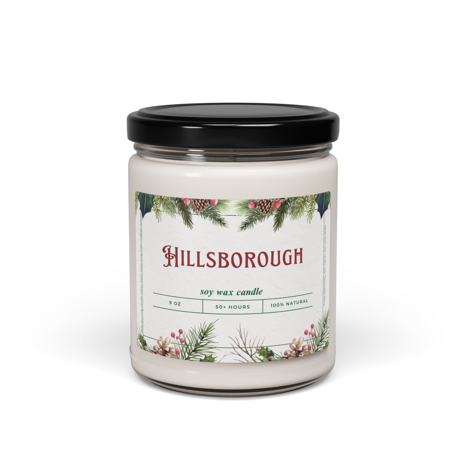Take the 2nd Exit Florida Villages of  Hillsborough Christmas Candle 9oz. Soy wax