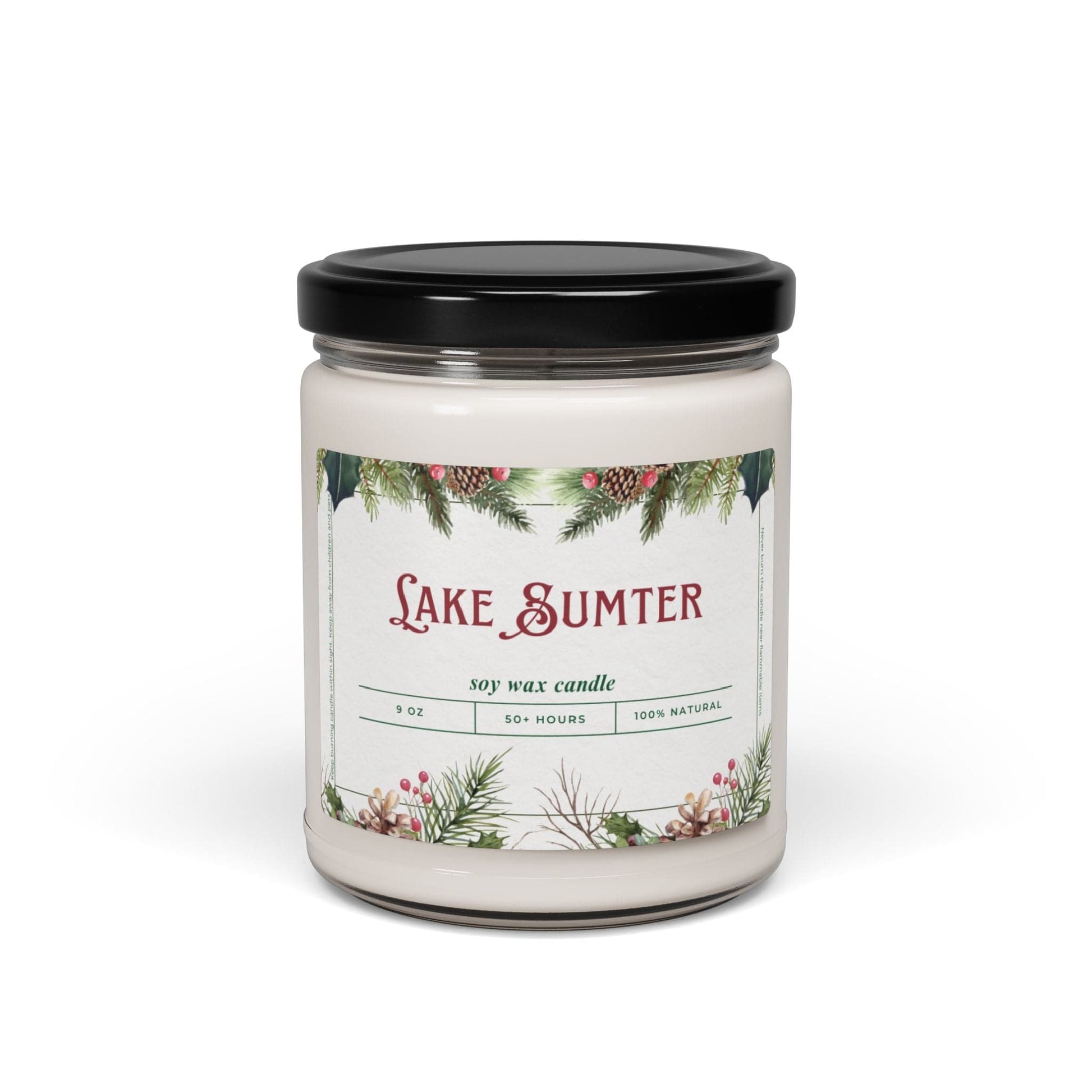 Take the 2nd Exit Florida Villages of  Lake Sumter Christmas Candle 9oz. Soy wax