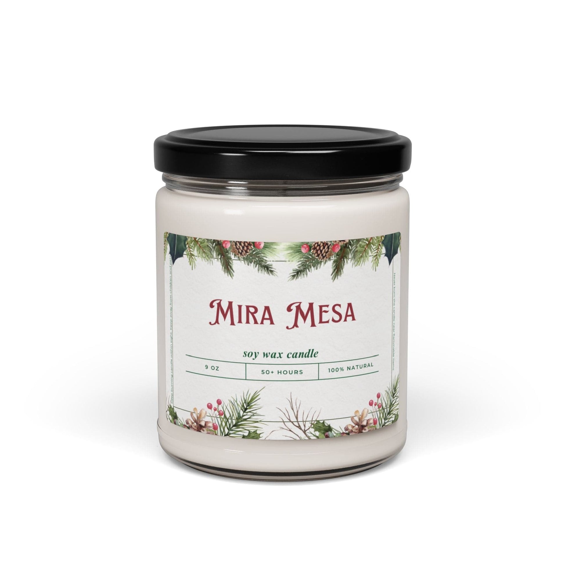 Take the 2nd Exit Florida Villages of  Mira Mesa Christmas Candle 9oz. Soy wax