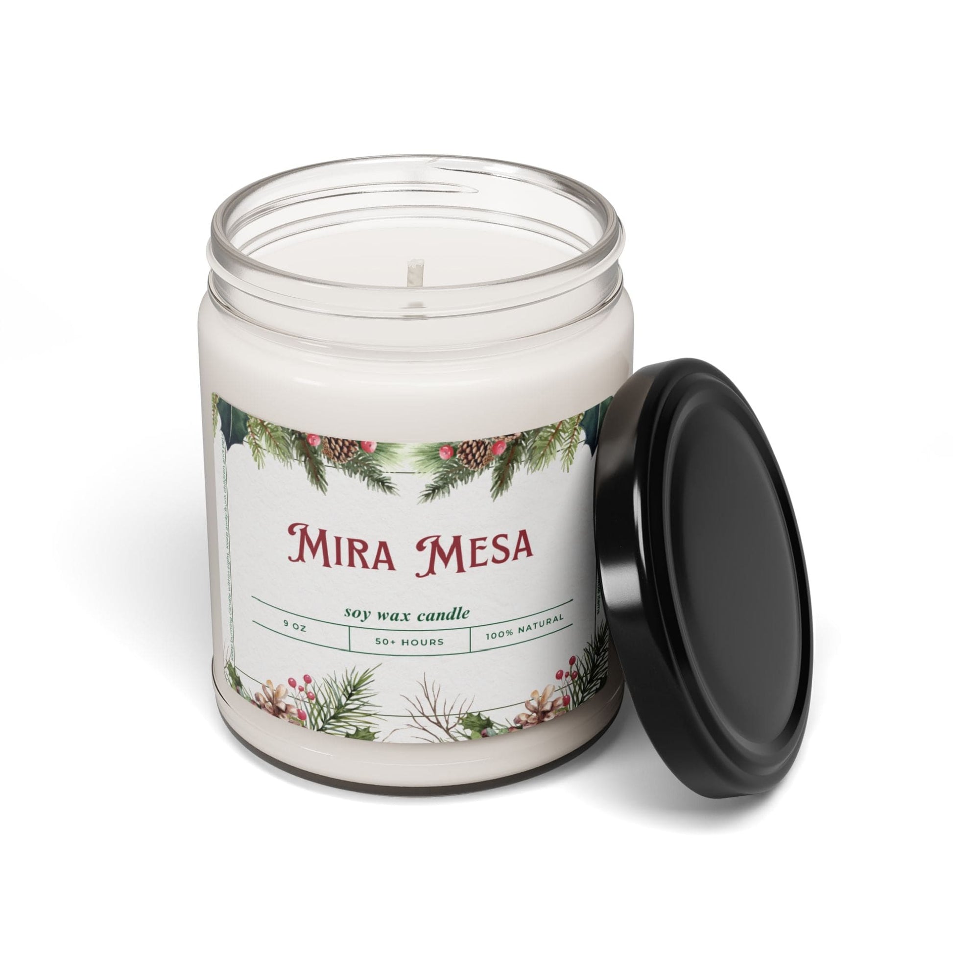 Take the 2nd Exit Florida Villages of  Mira Mesa Christmas Candle 9oz. Soy wax