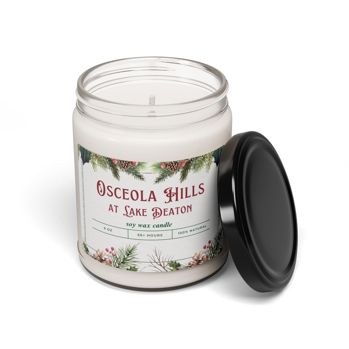 Take the 2nd Exit Florida Villages of  Osceola Hills at Lake Deaton Christmas Candle 9oz. Soy wax