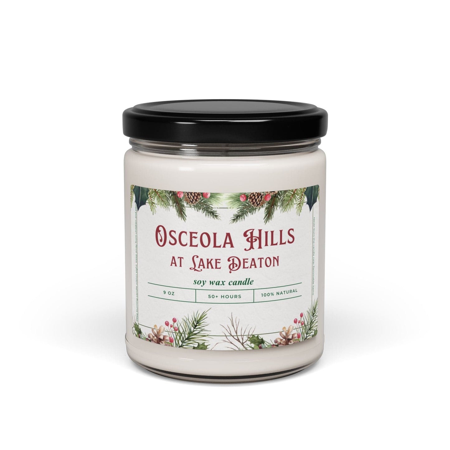 Take the 2nd Exit Florida Villages of  Osceola Hills at Lake Deaton Christmas Candle 9oz. Soy wax
