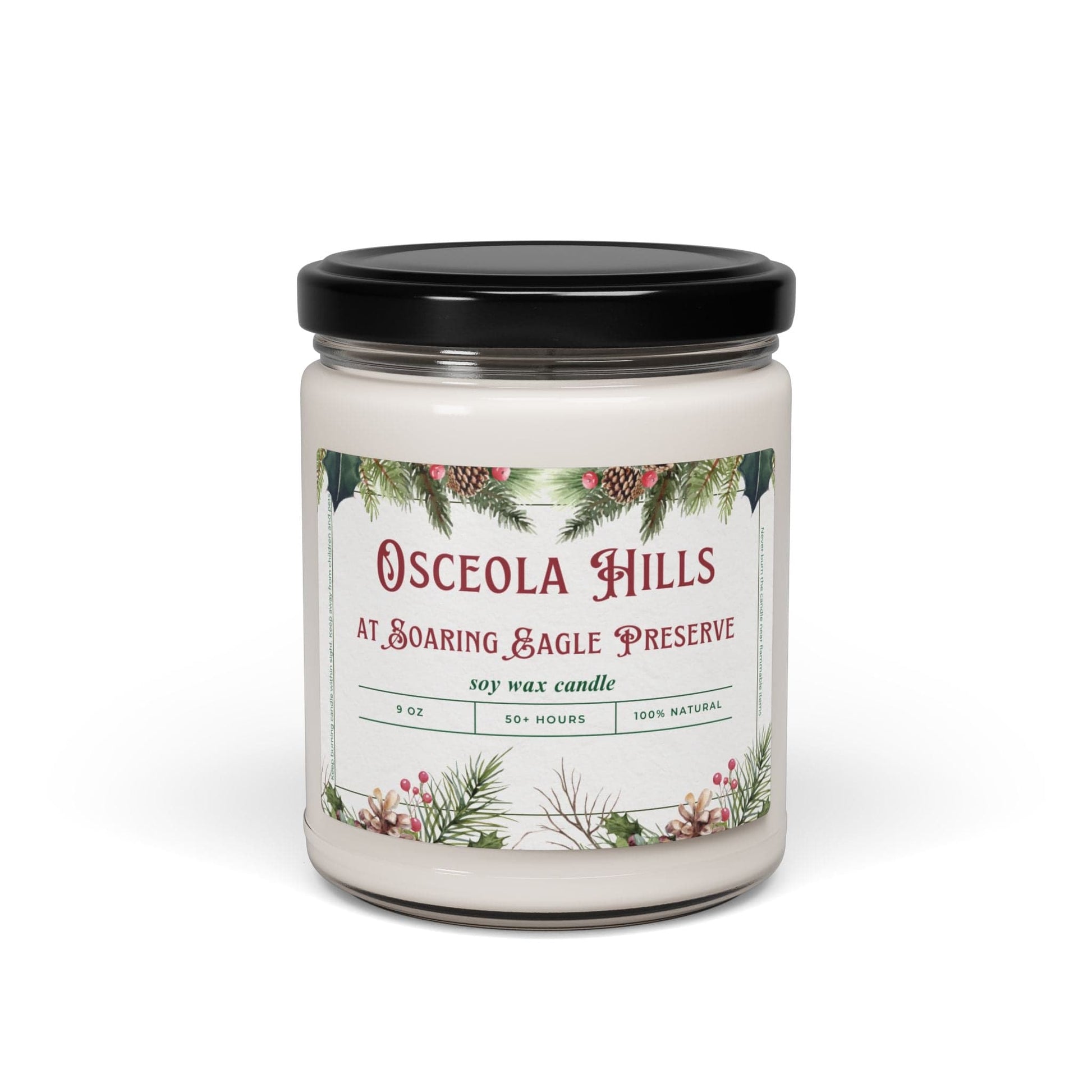 Take the 2nd Exit Florida Villages of  Osceola Hills at Soaring Eagle Preserve Christmas Candle 9oz. Soy wax