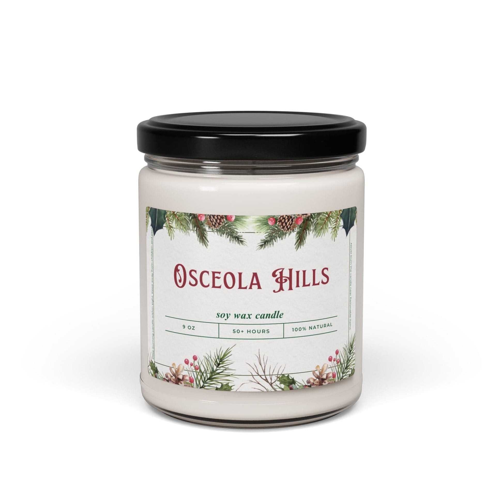 Take the 2nd Exit Florida Villages of  Osceola Hills Christmas Candle 9oz. Soy wax