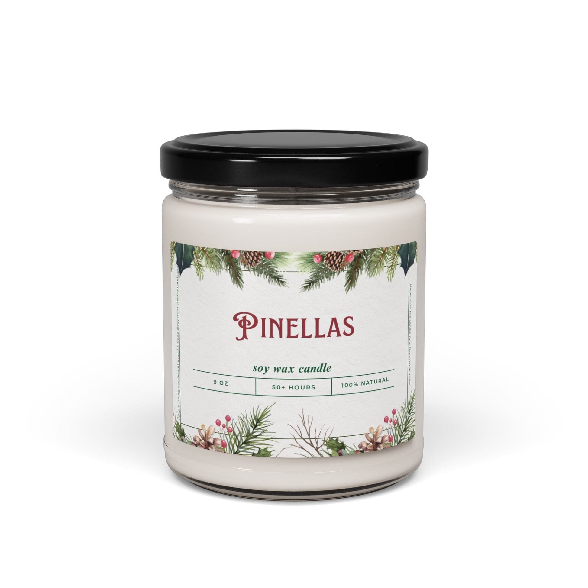 Take the 2nd Exit Florida Villages of  Pinellas Christmas Candle 9oz. Soy wax