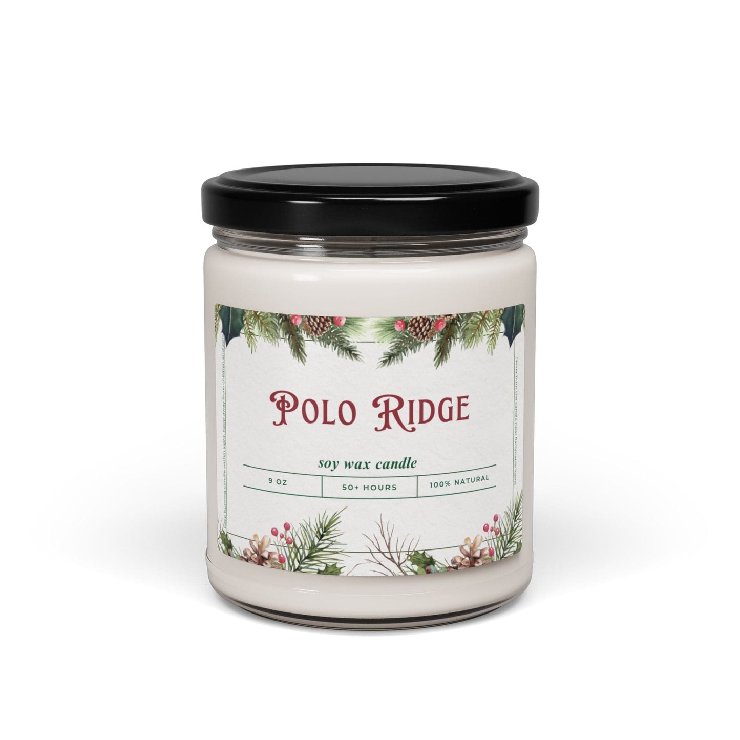 Take the 2nd Exit Florida Villages of  Polo Ridge Christmas Candle 9oz. Soy wax