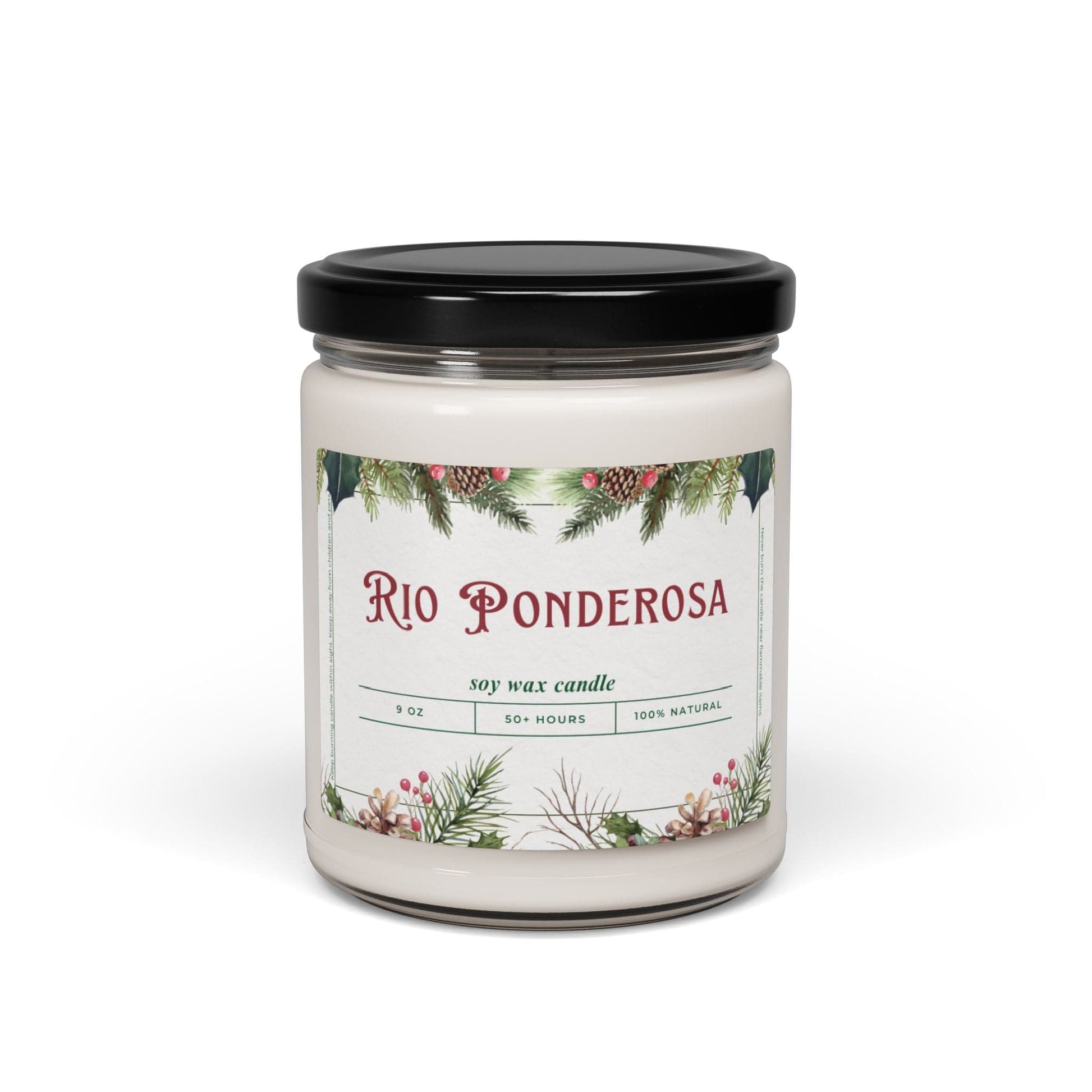 Take the 2nd Exit Florida Villages of  Rio Ponderosa Christmas Candle 9oz. Soy wax