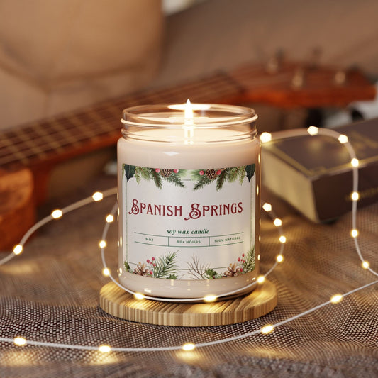 Take the 2nd Exit Florida Villages of  Spanish Springs Christmas Candle 9oz. Soy wax
