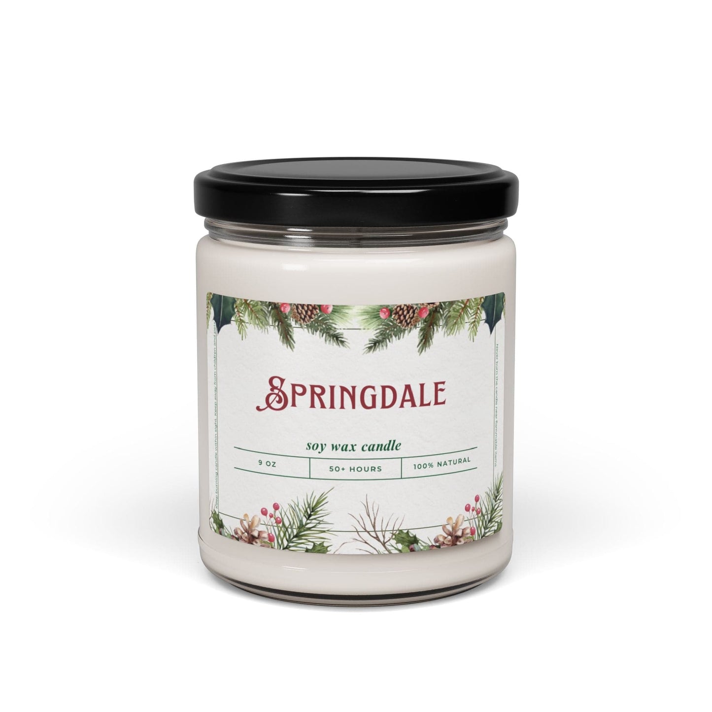 Take the 2nd Exit Florida Villages of  Springdale Christmas Candle 9oz. Soy wax
