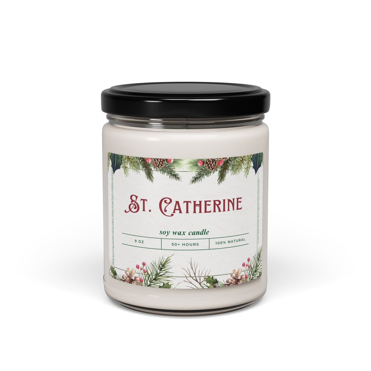 Take the 2nd Exit Florida Villages of  St. Catherine Christmas Candle 9oz. Soy wax