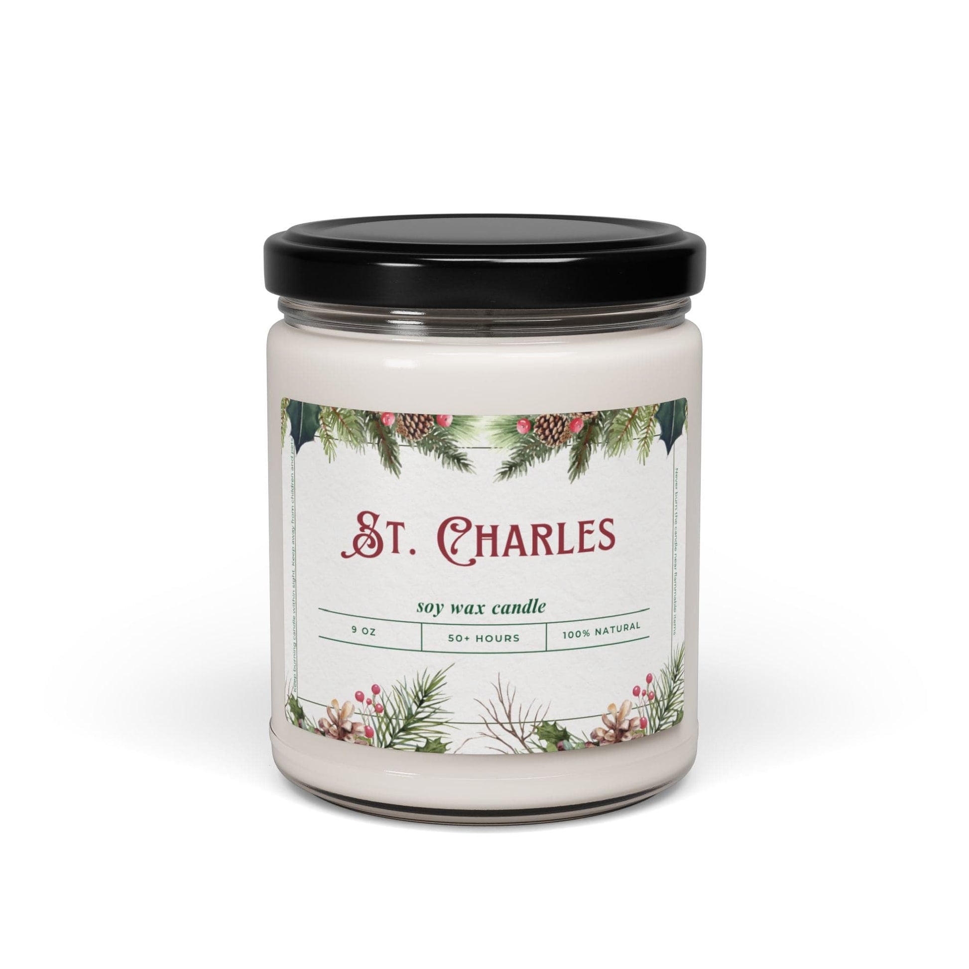 Take the 2nd Exit Florida Villages of  St. Charles Christmas Candle 9oz. Soy wax