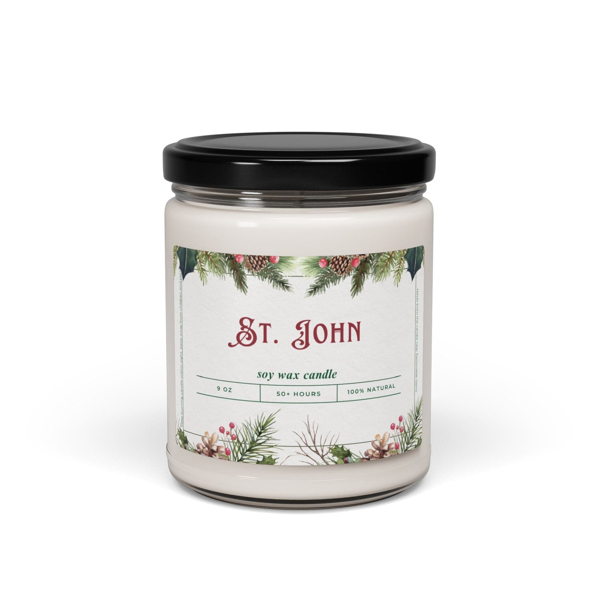 Take the 2nd Exit Florida Villages of  St. John Christmas Candle 9oz. Soy wax