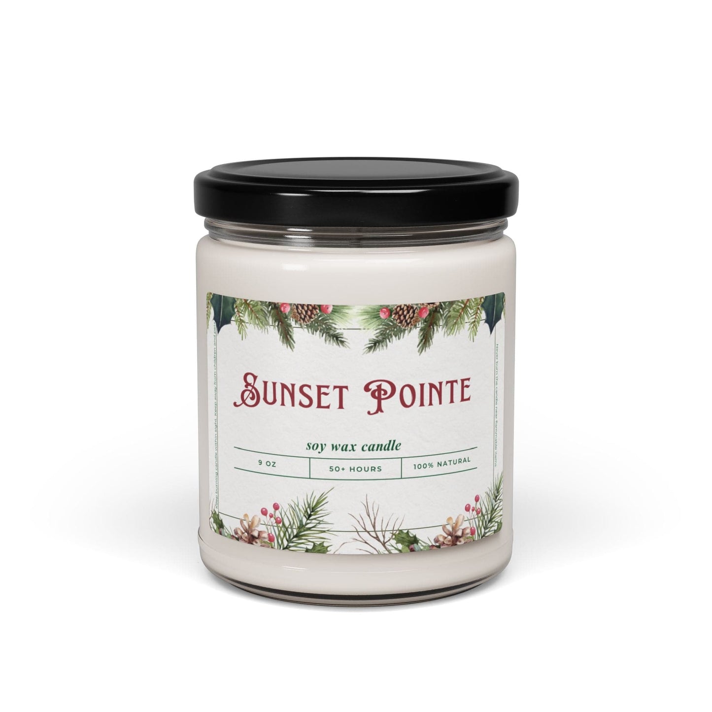 Take the 2nd Exit Florida Villages of  Sunset Pointe Christmas Candle 9oz. Soy wax