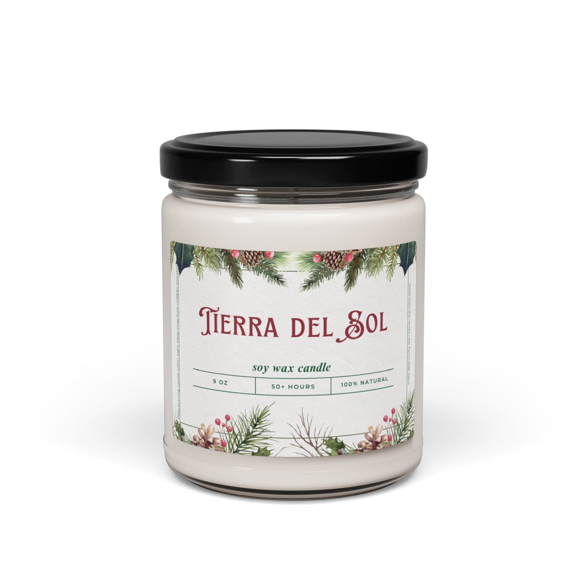 Take the 2nd Exit Florida Villages of  Tierra Del Sol Christmas Candle 9oz. Soy wax