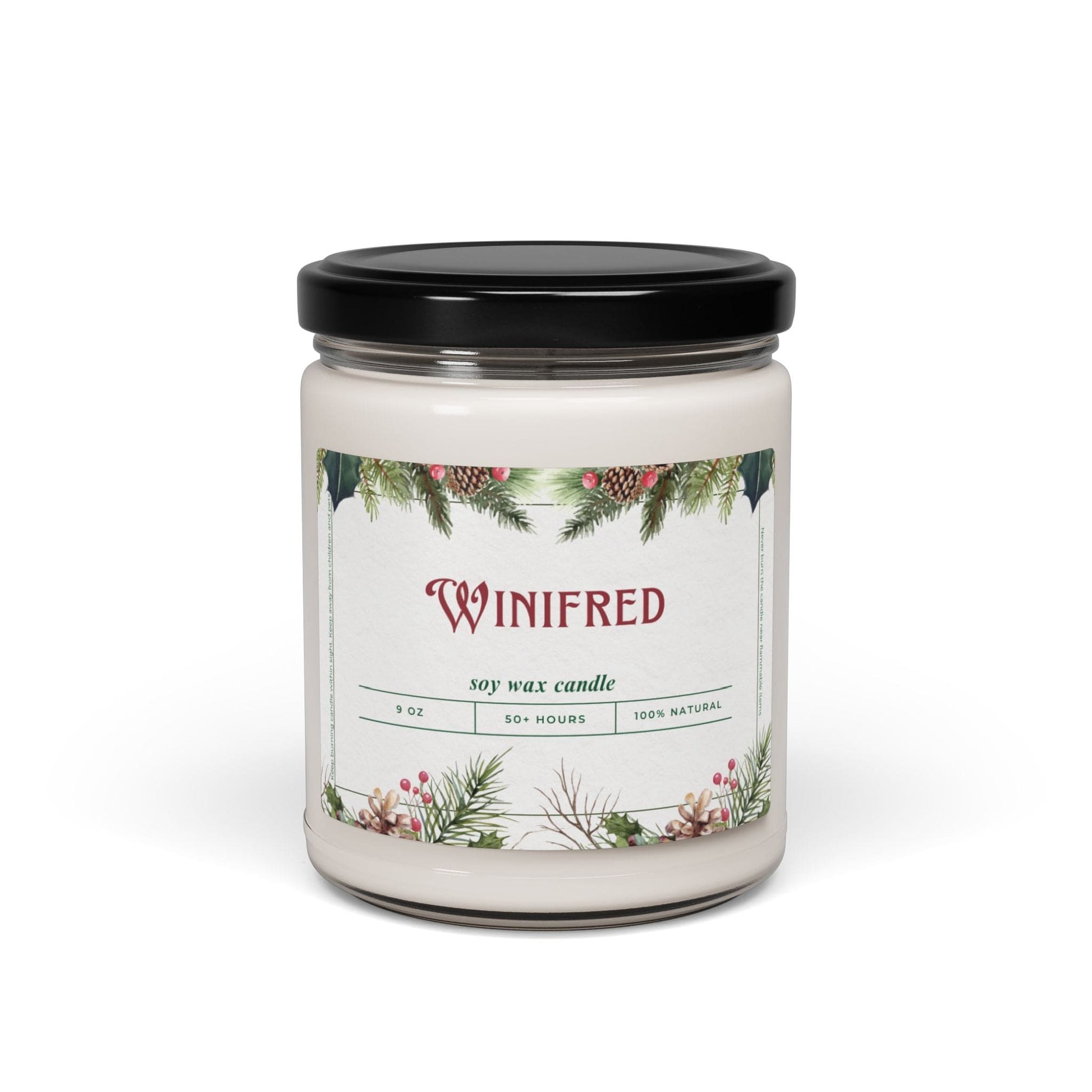 Take the 2nd Exit Florida Villages of  Winifred Christmas Candle 9oz. Soy wax